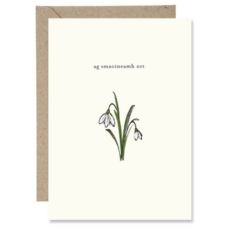 Ag Smaoineamh Ort- The Paper Gull Card