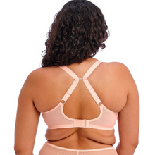 Load image into Gallery viewer, Elomi Charley Plunge Bra | Ballet Pink
