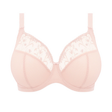 Load image into Gallery viewer, Elomi Charley Plunge Bra | Ballet Pink
